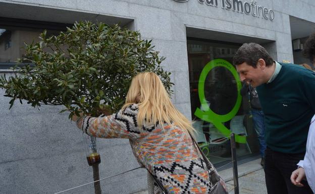 Tineo declara la guerra al avispón Tineo declara la guerra al avispón