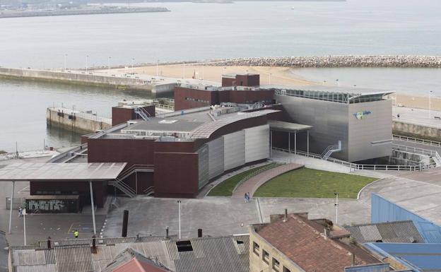 Cuatro empresas optan a gestionar el Acuario de Gijón para los próximos quince años Cuatro empresas optan a gestionar el Acuario de Gijón para los próximos quince años