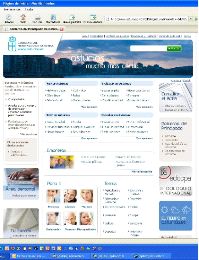 PORTAL. Imagen de la web del Principado. / E. C./