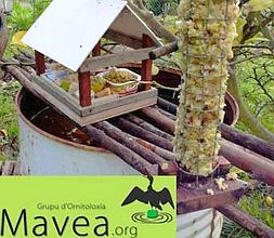Ejemplos de comederos para aves/GRUPO MAVEA/