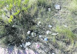 Basura 'protegida' en Llodero