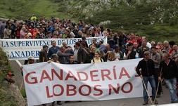 Sin lobos, ¿hay paraíso?