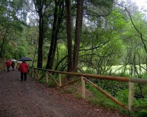 Un grupo de personas camina por el paseo habilitado en el entorno de los lagos de Salave. ::
I. G./