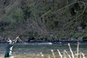 Un pescador lanza la caña en el pozo salmonero La Isla en el río Narcea. ::
PALOMA UCHA/