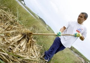 David Díaz, integrante de Mavea, retira plantas invasoras de la Ensenada de Llodero. ::
MARIETA/