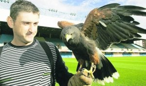 Alejandro Pizarro, con 'Adri', un Águila Harry de tres años, que ayer voló en el Suárez Puerta para 'espantar' a las palomas y gaviotas. :: SERGIO LÓPEZ/