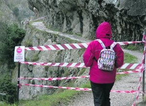 Un argayo ha interrumpido la senda del Cares a la altura de la zona conocida como Culiembro. ::
N. ACEBAL/
