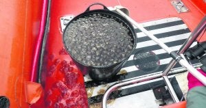 Un cubo lleno de medusas, ayer, en una de las embarcaciones de la Cruz Roja. :: CRUZ ROJA/