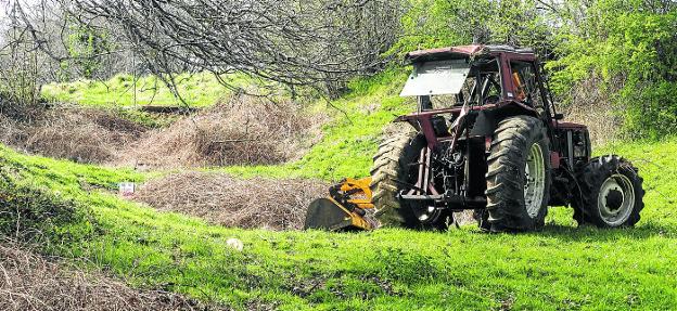 tractor niño 3 años