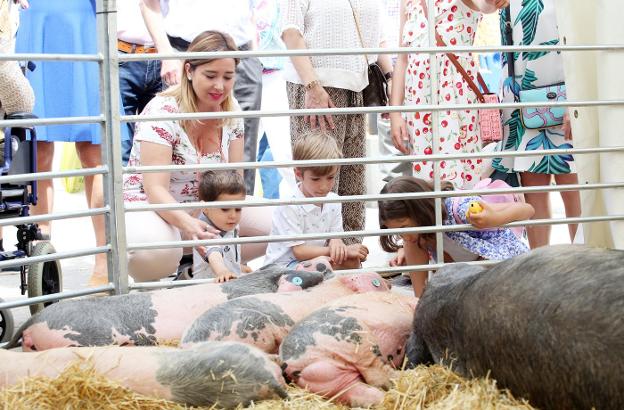 Un grupo de niños disfruta con los gochos asturceltas en una de las carpas./