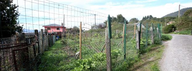 Los terrenos de la actuación se extienden desde la trasera del polideportivo de Vallobín casi hasta los pies del campo de rugby del Naranco. / PIÑA