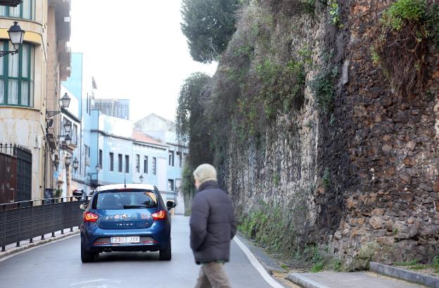 La muralla, en la calle Paraíso, repleta de vegetación. / ALEX PIÑA