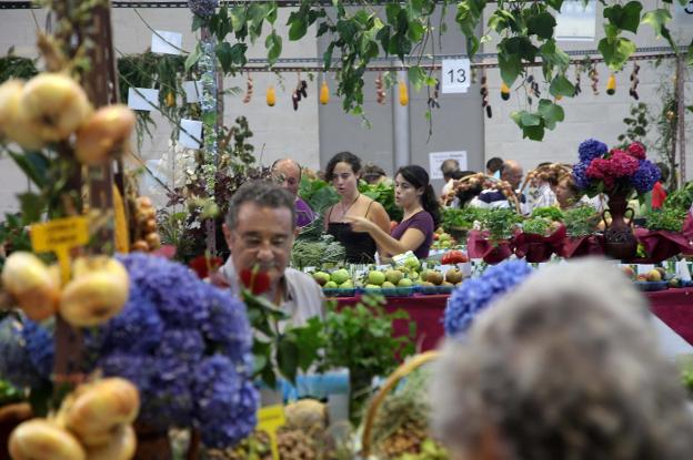 Pravia volverá a lucir el músculo del campo en su Festival de la Huerta |  El Comercio