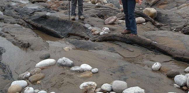 Un árbol de 300 millones de años en la playa de Arnao | El Comercio