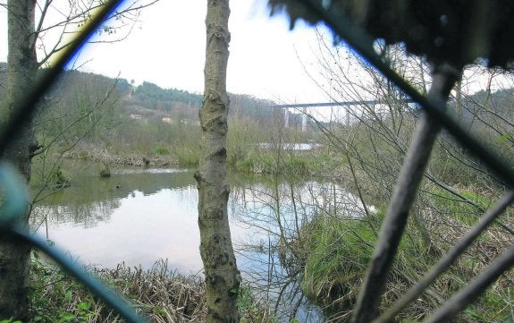 Foto de Humedal de La Furta en Corvera de Asturias, Asturias